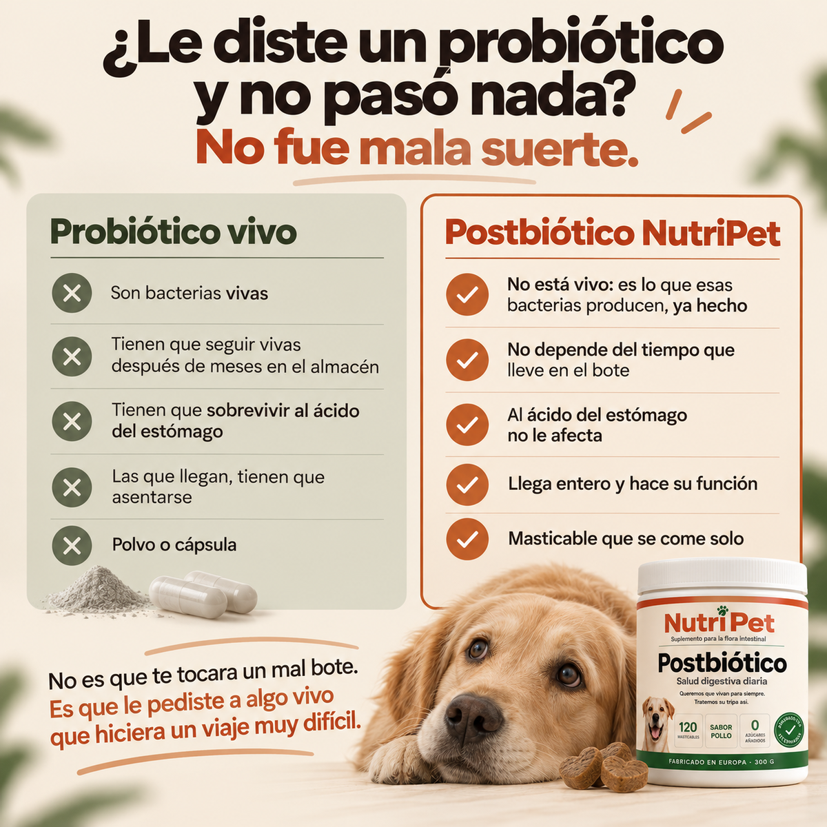 Se rasca, le huele el aliento y unos días come y otros no. No son tres problemas.