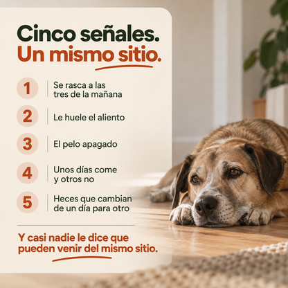 Se rasca, le huele el aliento y unos días come y otros no. No son tres problemas.