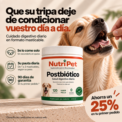 Se rasca, le huele el aliento y unos días come y otros no. No son tres problemas.